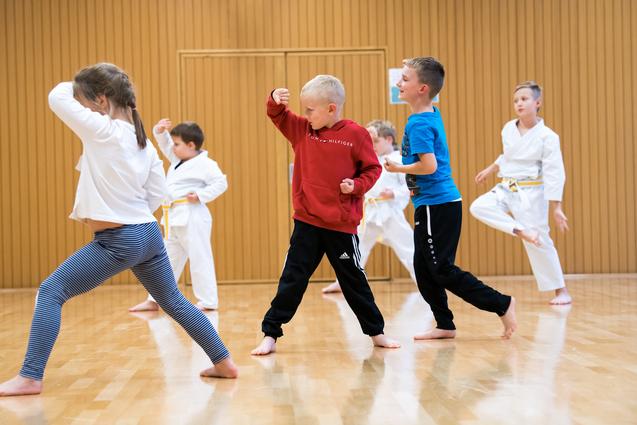 Sechs Kinder üben in einem Sportraum Kampfsportbewegungen in weißer und bunter Kleidung auf einem Holzfußboden.